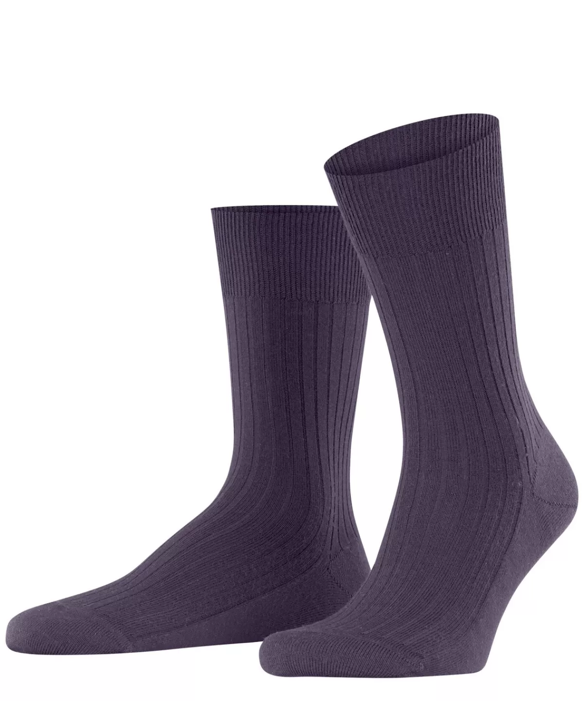 Bristol Pure Herren Socken^FALKE Flash Sale