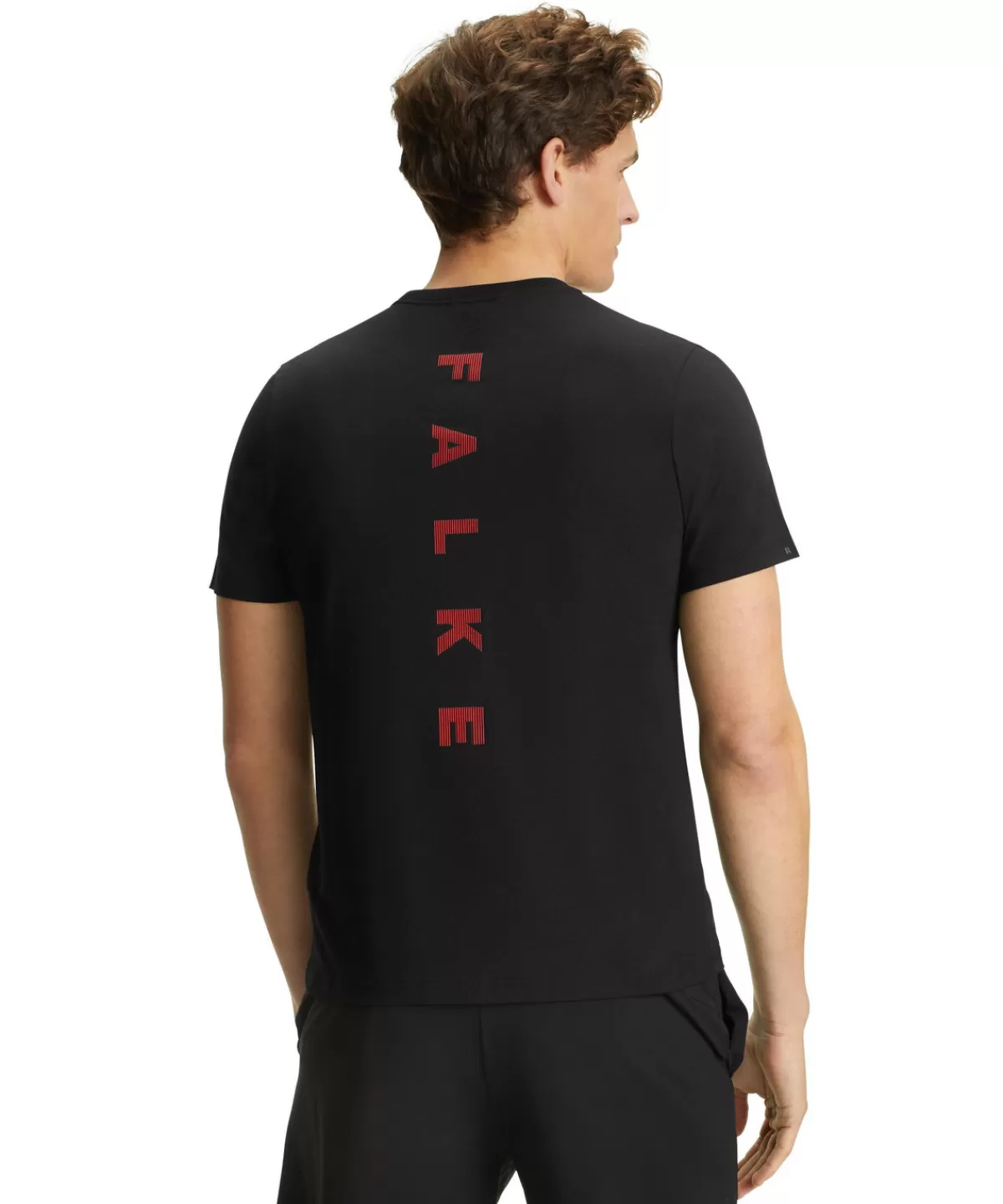 Herren T-Shirt Rundhals^FALKE Cheap