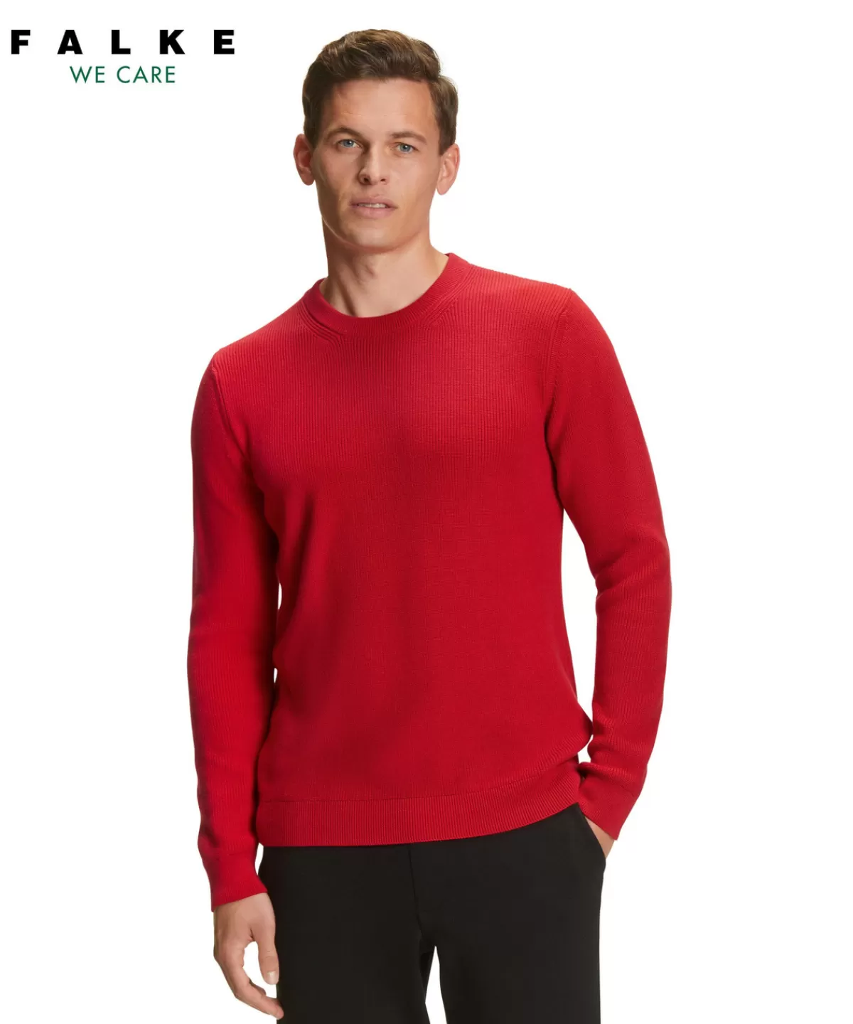 Herren Pullover Rundhals^FALKE Cheap