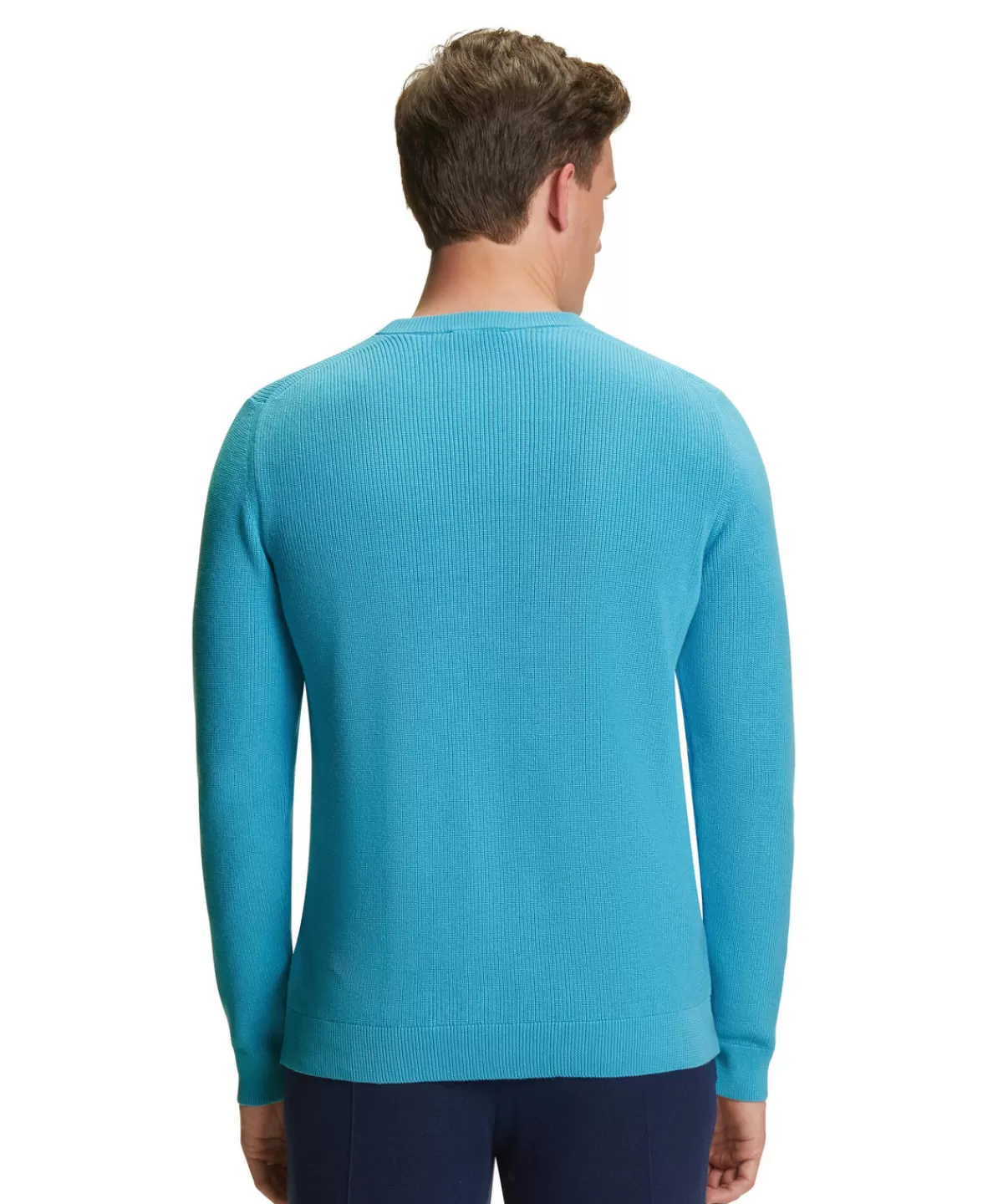 Herren Pullover Rundhals^FALKE Best