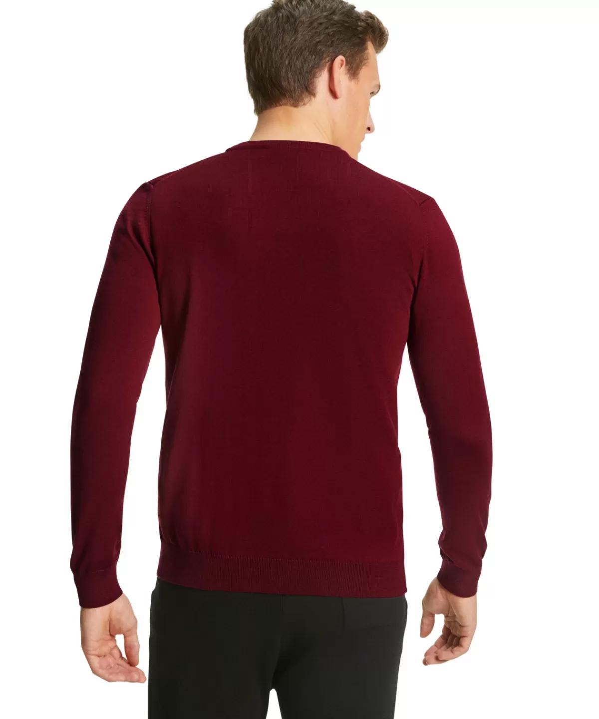 Herren Pullover V-Ausschnitt^FALKE Online